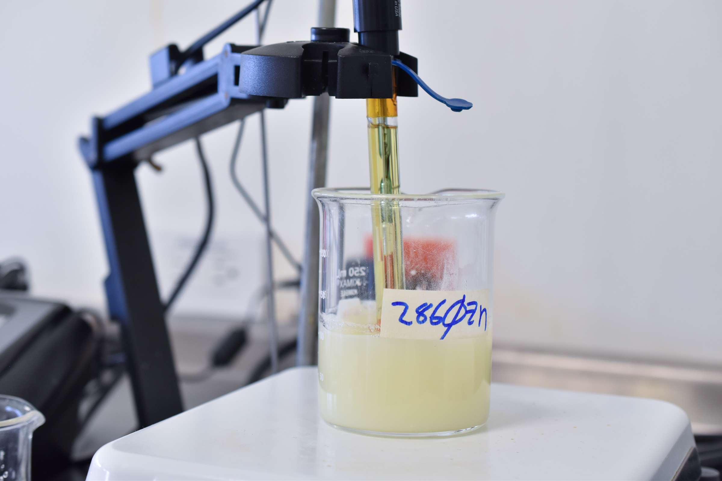 Lácteos: Leche de vaca (quesos), Cabra (leche)