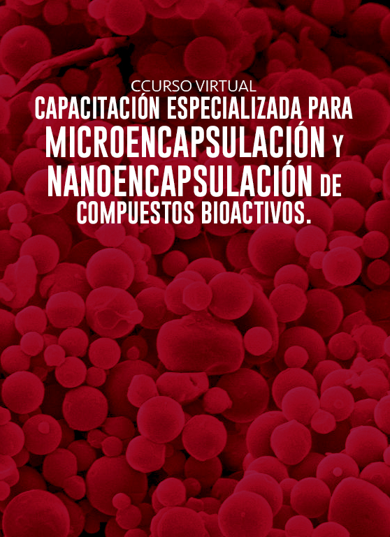 Capacitación especializada para microencapsulación y nanoencapsulación de compuestos bioactivos.