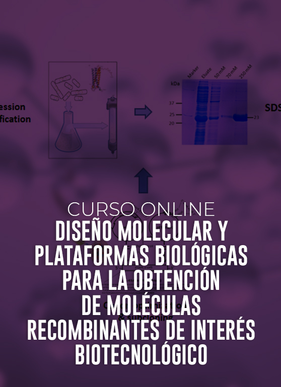 Curso Diseño molecular y plataformas biológicas para la obtención de moléculas recombinantes de interés biotecnológico