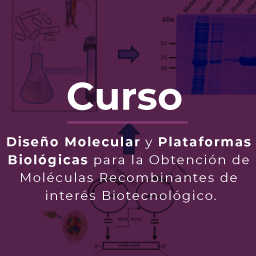 Diseño molecular y plataformas biológicas para la obtención de moléculas recombinantes de interés biotecnológico