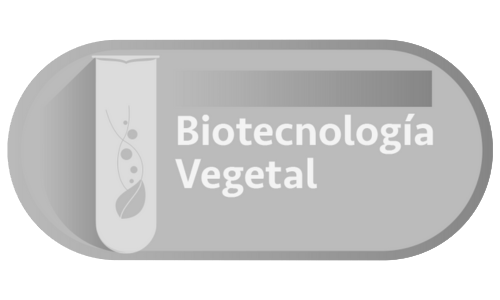 Biotecnología Vegetal