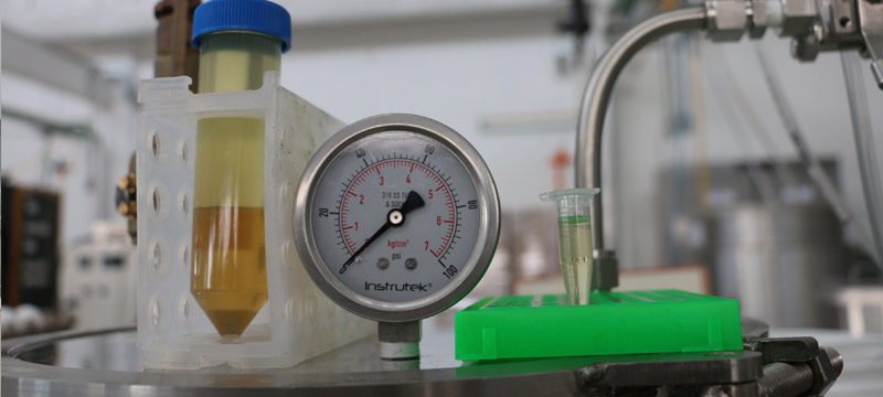 Ingeniería de procesos biocatalíticos