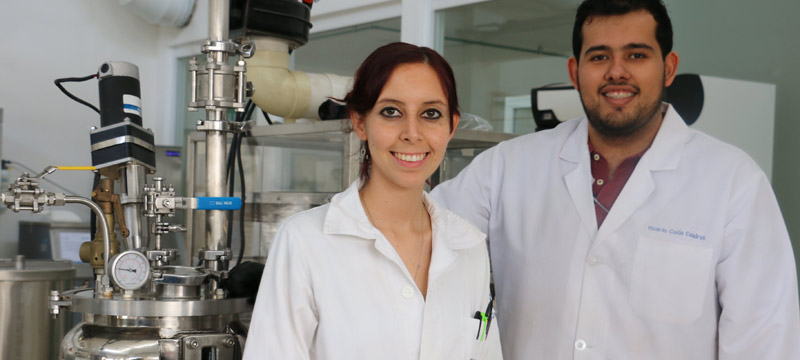 Aplicación de biocatalizadores