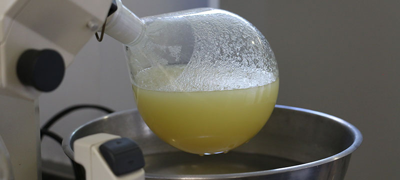 Ingeniería y Tecnología de Procesos Alimentarios