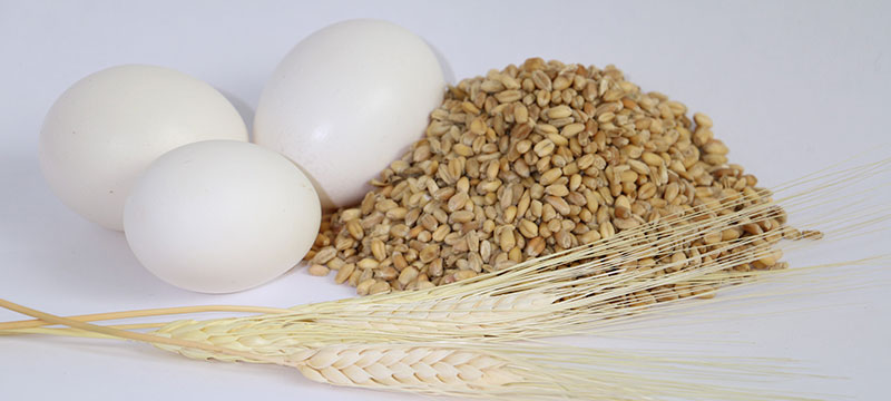 Identificación, control y diseño de sistemas de inocuidad para la conservación de alimentos y bebida