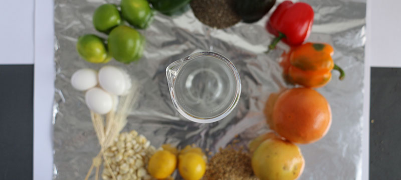 Estudio y monitoreo de residuos toxicos y metales traza en alimentos del sector primario y alimentos