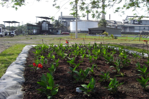 Diseño e implementación de una planta piloto para el tratamiento y reutilización de aguas residuales de ingenios azucareros y fábricas de alcohol en el Estado de Veracruz usando humedales artificiales