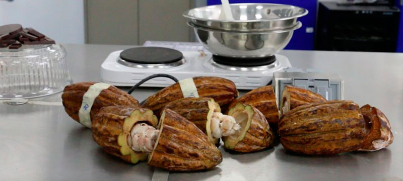 Desarrollo y Calidad de Alimentos y Bebidas