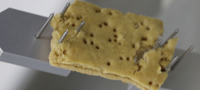 Tecnología de Procesos Agroalimentarios