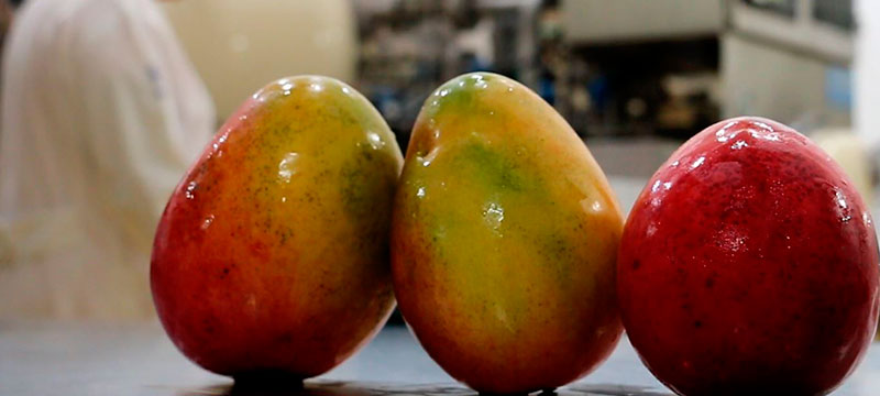 Calidad e Inocuidad Alimentaría