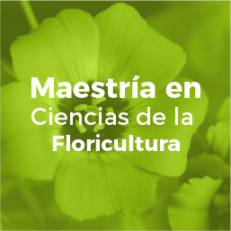 Maestría en Ciencias de la Floricultura