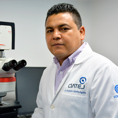 Alejandro Arturo Canales Aguirre, Dr.