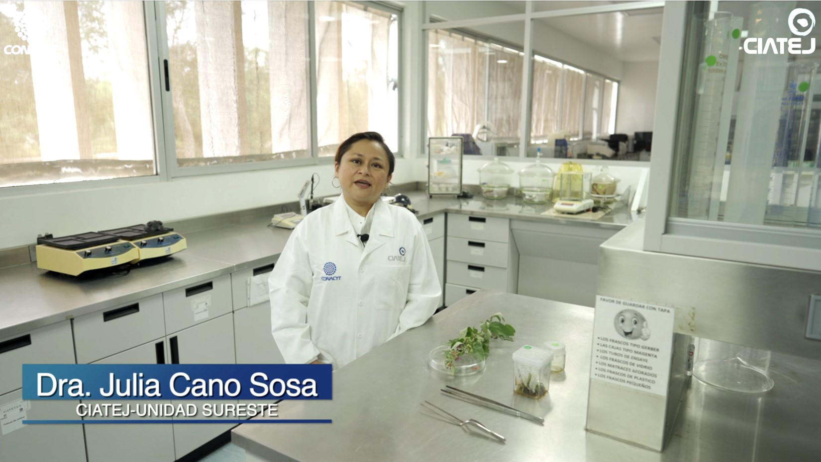 Taller Cultivo in vitro y micropropagación de plantas