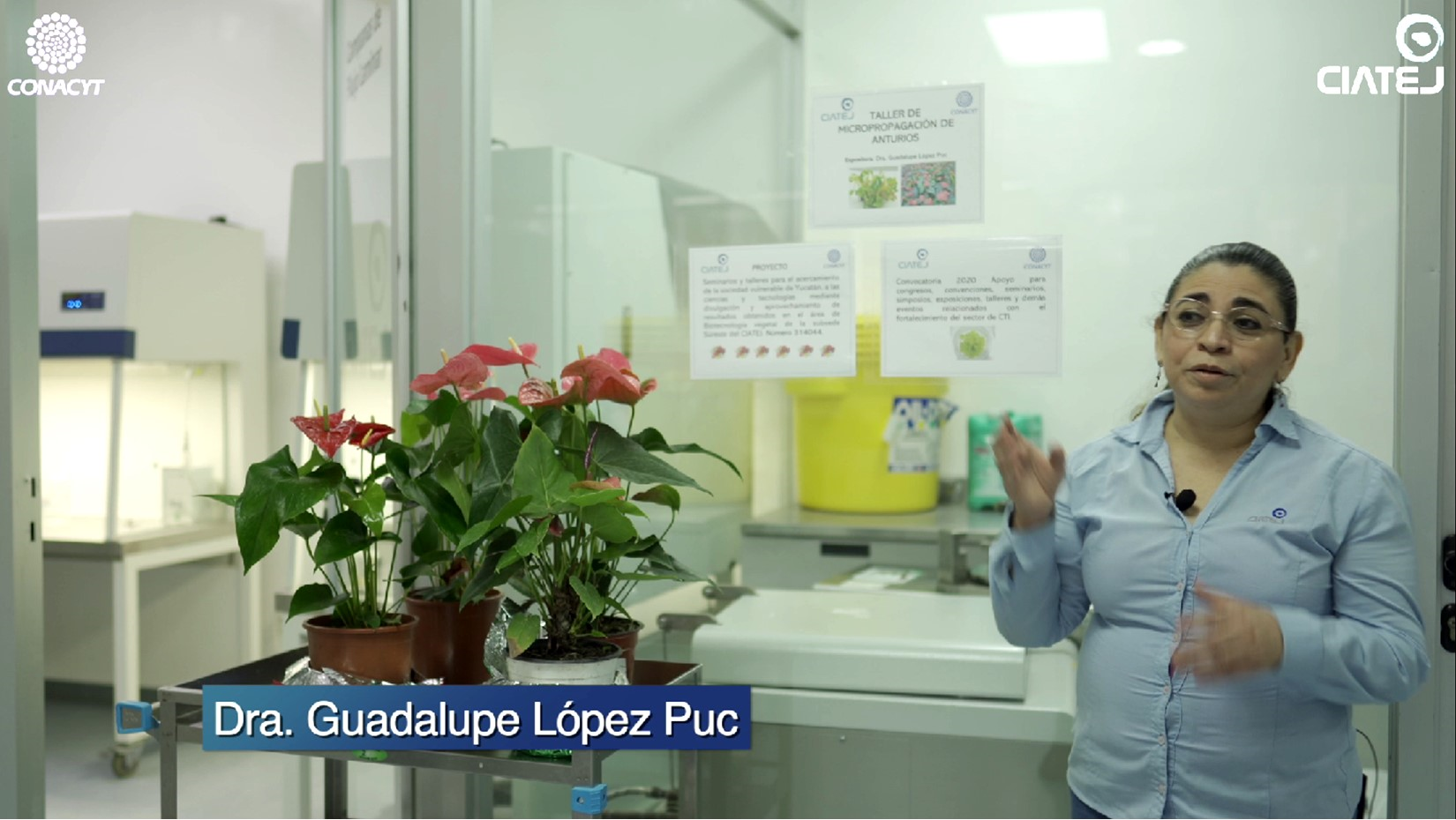 Taller Micropropaación de Anturios 